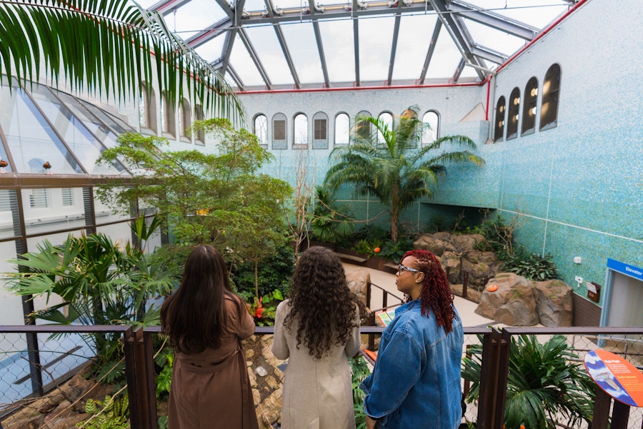 Three visitors look over a lush indoor tropical garden under a glass roof.