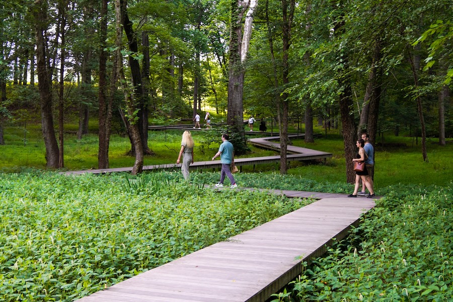People stroll along a wooden boardwalk that weaves through lush forest at Glenstone Museum.