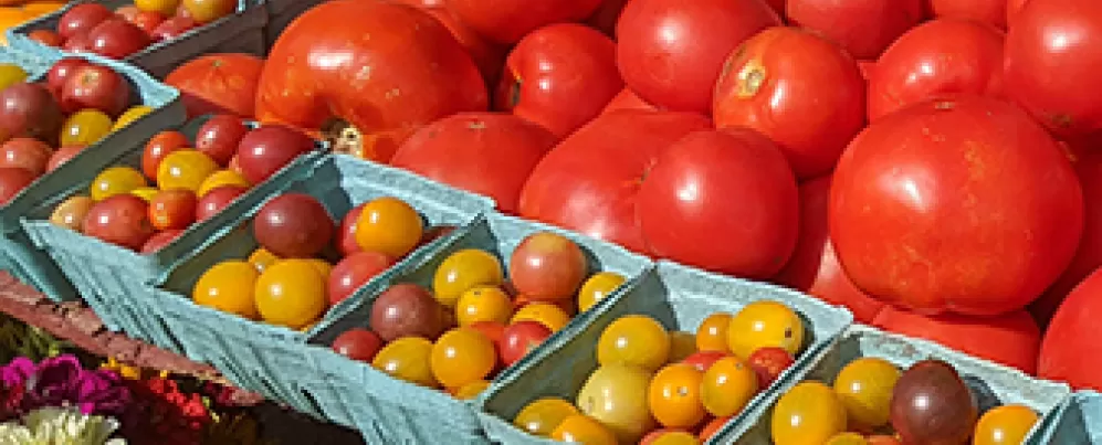 Dupont Circle's farmers market fruit and vegetable display 