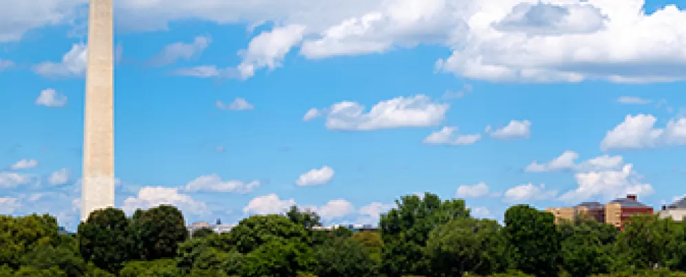 Tidal Basin in Summer